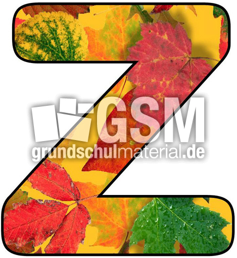 Herbstbuchstabe-5-Z.jpg